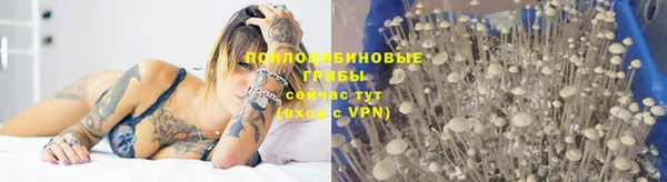 mix Богородск