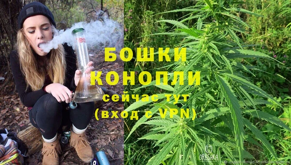 МДПВ Богородицк