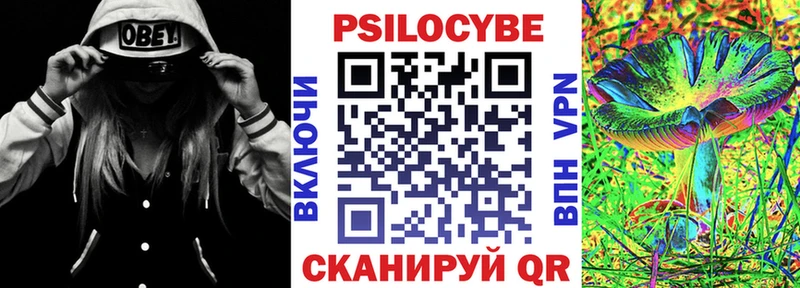 наркота Межгорье Галлюциногенные грибы мицелий